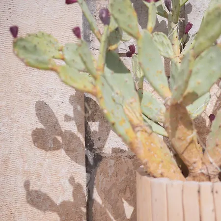 Vicoloterzo Panzió Bari