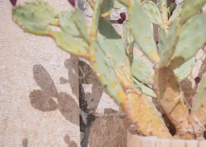 Vicoloterzo Couette-café Bari